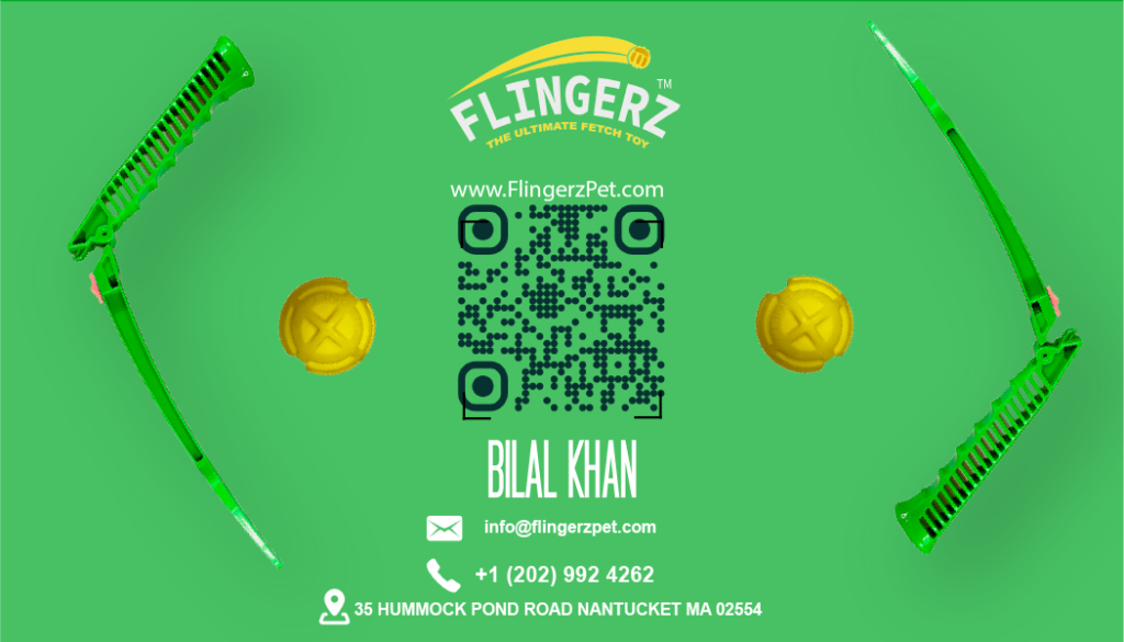 flingerz business card 02