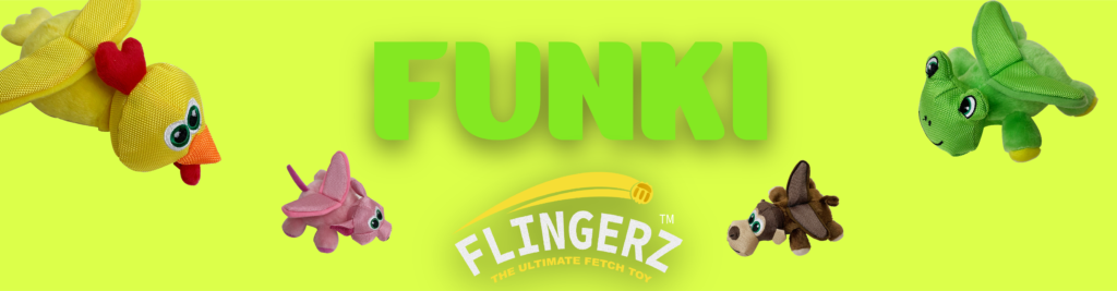 funki flingerz banner 01