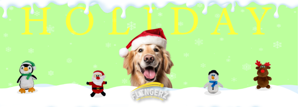 holiday flingerz banner 01